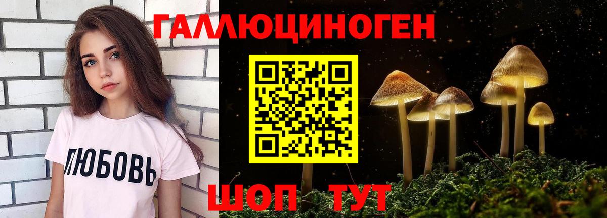 Шали  Псилоцибиновые грибы GOLDEN TEACHER  Вход с VPN 