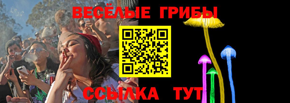 Галлюциногенные грибы мицелий Шали