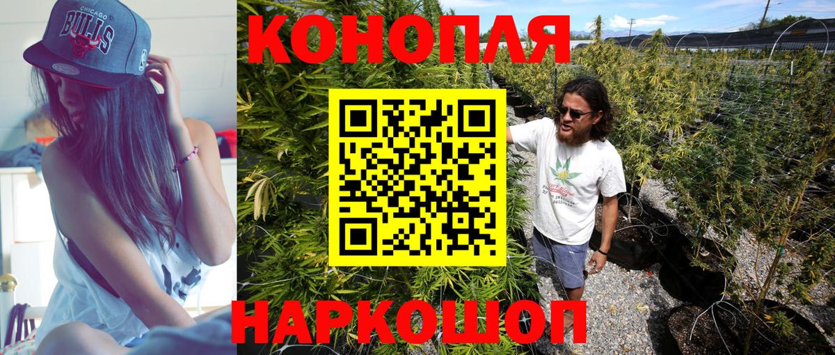 Бошки марихуана план  МАРИХУАНА THC 21%  Шали  Бошки марихуана семена  Вход с VPN 